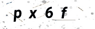 463396